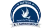saftech final logo design 5